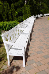 White Wooden Benches in the park, summer day