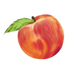 Ripe peach on a white background. Vector illustration.