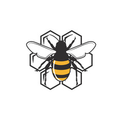 Honey bee