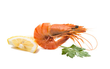 Boiled shrimp isolated