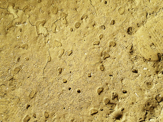 GRAINED WALL TEXTURE 2