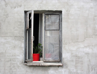 Fototapeta na wymiar Open window, a plant in a red pot on the windowsill