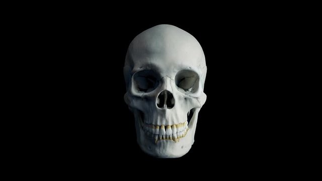 Skull Opens Mouth Eats Camera POV - 4 Versions