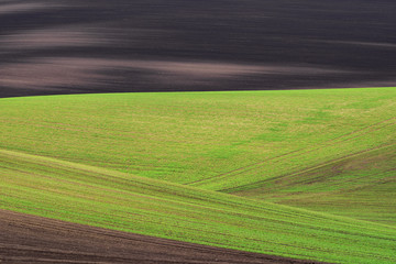 Abstract wavy fields on South Moravia