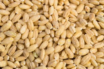 Macro Pearl Barley Whole Food