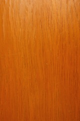 Naklejka premium Pattern on a tree from space