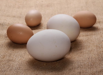 Chicken and goose eggs on jute, linen sack 