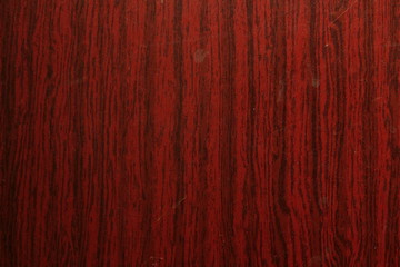 Obraz premium Pattern on a tree from space