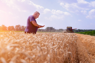 Farmer on his field during the wheat harvest