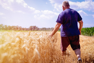 Farmer on his field during the wheat harvest
