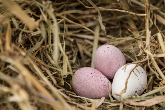 three candy sweet chocolate eggs in a straw bed