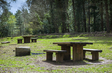Picnic benches in a clearing surrounded by trees. Its an idilic setting and very inviting to families wishing to take in the fresh air eat alfresco.