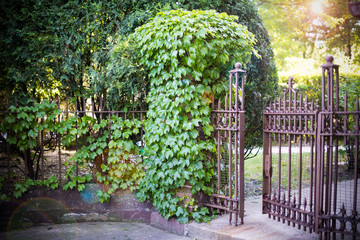 The gate of a garden open to welcome guests into a beautiful home, with vines growing over. Pale...