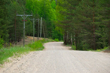 Dirt road in the mixed forest. Telegraph poles on one side of the road. - 162770153