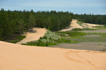 Sand dunes surrounded by forest. - 162770188
