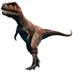 Fototapeta premium Mapusaurus from the Cretaceous era 3D illustration