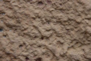 Fototapeta na wymiar Texture Wall 