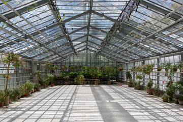 greenhouse
