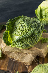 Raw Organic Savoy Cabbage Head