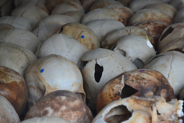 skulls in the killing field