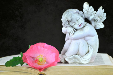 Angel and flower on dark grunge background