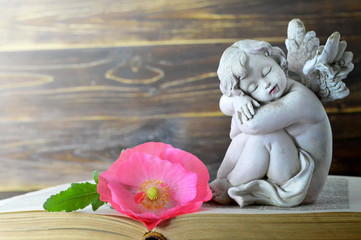 Angel figurine, flower and book on wooden background