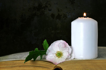Funeral flower, candle, and book on dark grunge background. Condolence card with copy space.