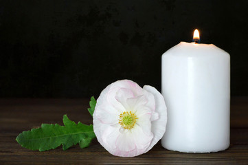 Fototapeta na wymiar Candle and flower on grunge background