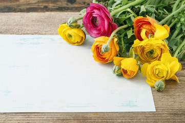 Colorful persian buttercup flowers (ranunculus) and vintage sheet of paper