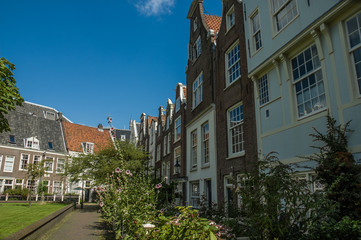 Amsterdam garden near some typical houses