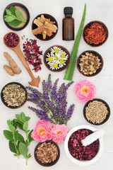 Herbs and ingredients to heal skin disorders including psoriasis and eczema on white distressed...