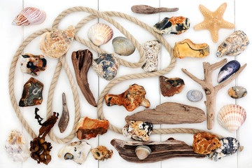 Seaside abstract design with seashells, driftwood, seaweed, rope and rocks on white wood...