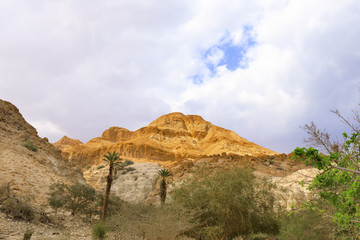 Ein Gedi Nature Reserve.