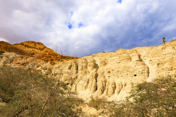 Fototapeta premium Ein Gedi Nature Reserve.