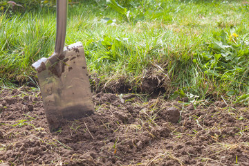 Spade in Dirt