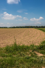 The fields and the land