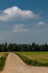 The fields and the land