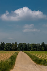 The fields and the land