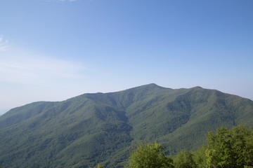 Monte Centaurino, Monte Fautunno, Parco Nazionale del Cilento e Vallo di Diano, primavera, vista da nord