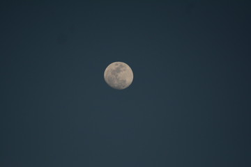 Moon