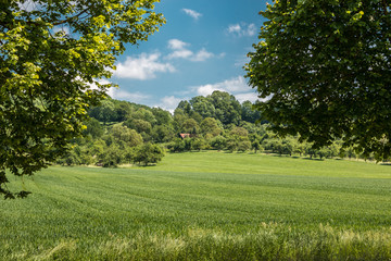 Obraz premium Grüne Felder und blauer Himmel