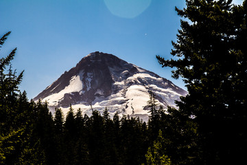 Mt. Hood