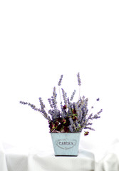 ラベンダーとバラ