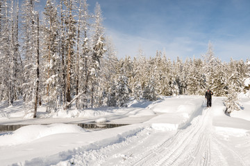 Obraz premium Skier crosses a bridge in winter with snow and forest