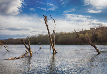 natural inundation