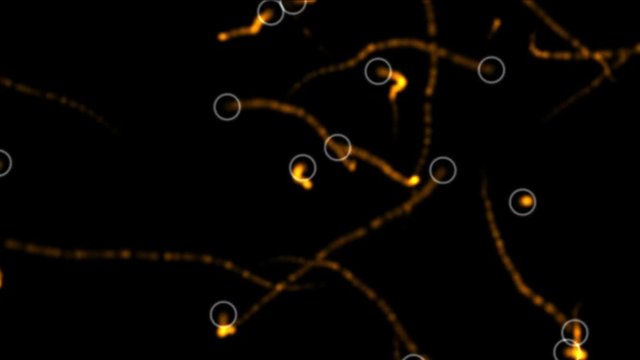 4k Micro nano sperm,cells bacteria microbes,gas blisters bubbles particles,circle round,fire wire background,military navigation GPS system.