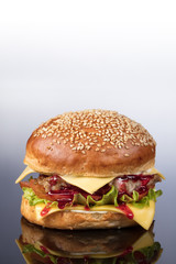Burger With Vegetables