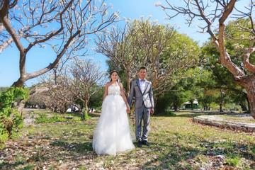 photograph of Pre wedding Asian couples Under a tree in a flower garden.