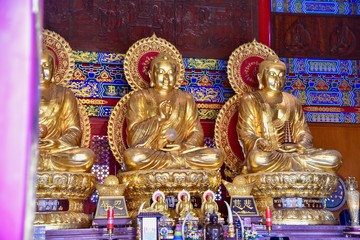 Fototapeta premium Giant Golden Buddha Statues at Wat Leng Noei Yi 2