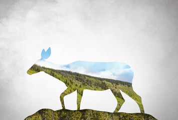 Digital artwork double exposure of a deer and forest